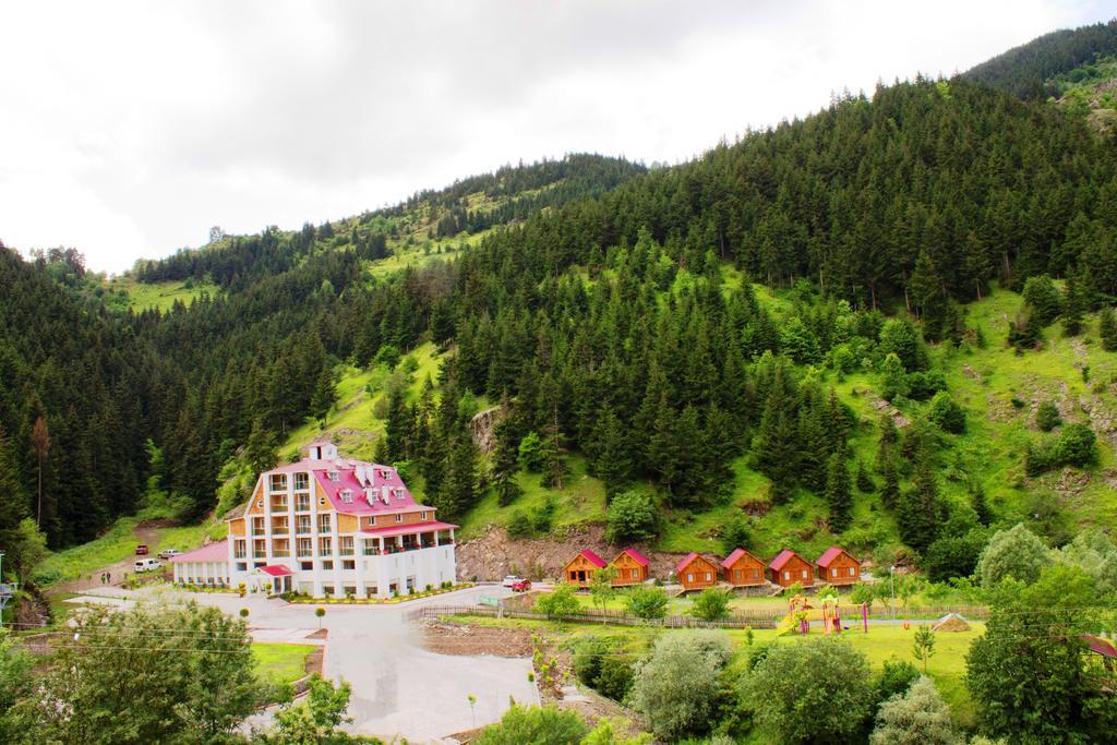 Hotel Green Valley Savsat 外观 照片