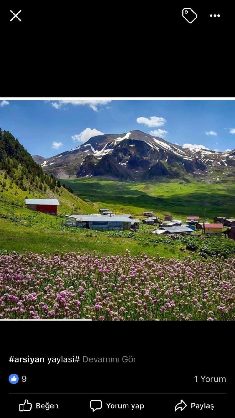 Hotel Green Valley Savsat 外观 照片